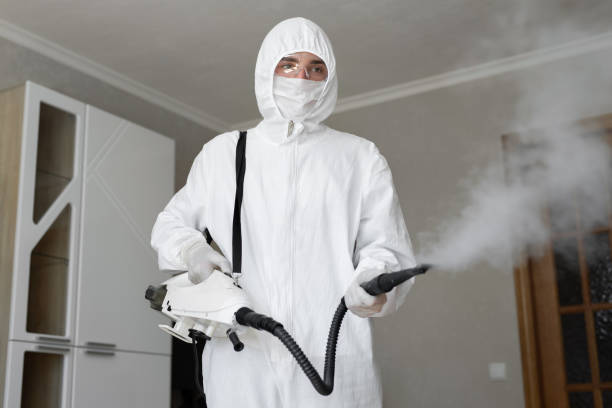 Best Mold Remediation for Vacation Homes  in Highland Beach, FL