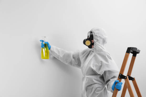 Best Environmental Consulting for Mold Prevention  in Highland Beach, FL