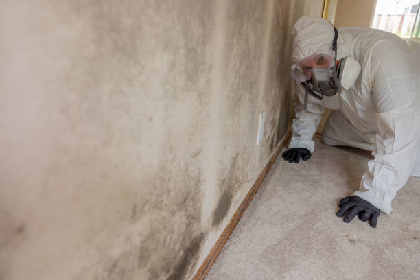 Mold Remediation for Rental Properties in Highland Beach, FL